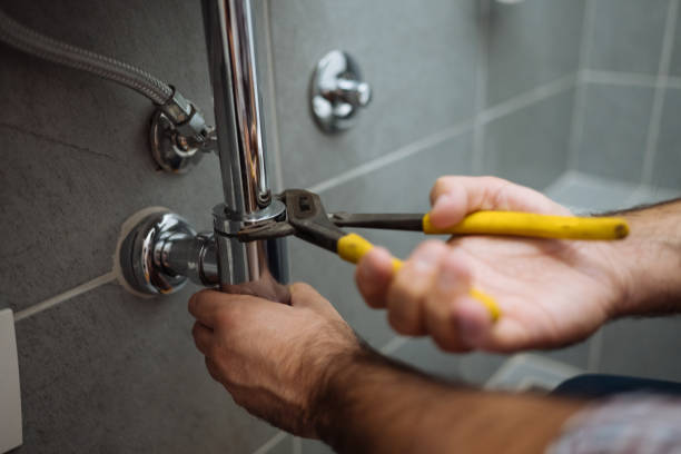 Best Plumbing Services Near Me  in Harvey, ND